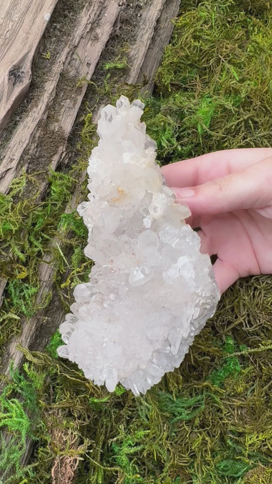 Clear Quartz Cluster 5.5" x 3.5"