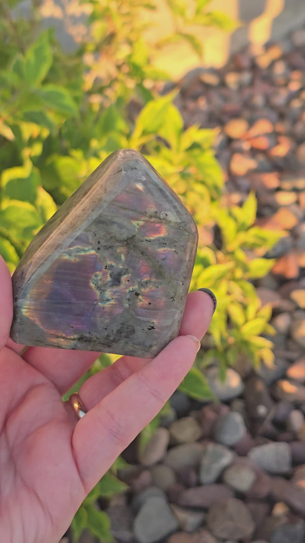 Labradorite Freeform (lb-08)