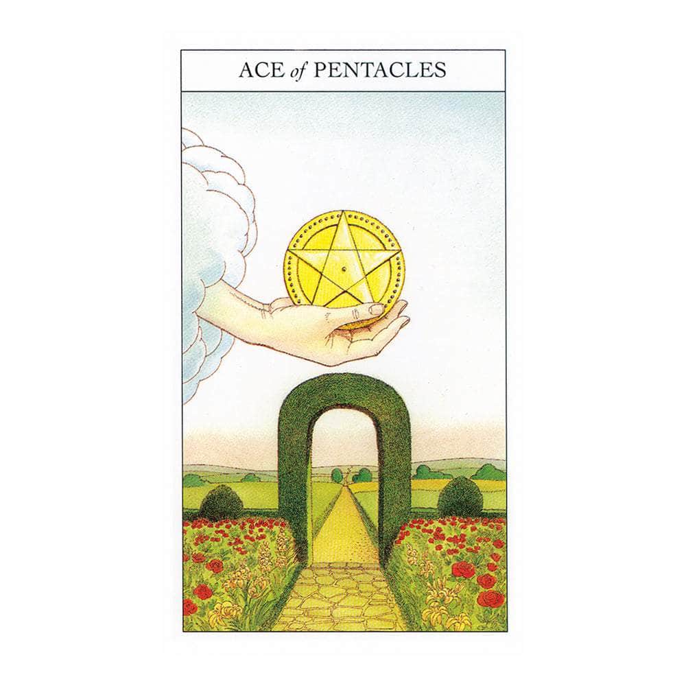 The Witches Sage LLC Tarot Cards Beginner's Guide to Tarot Beginner's Guide to Tarot