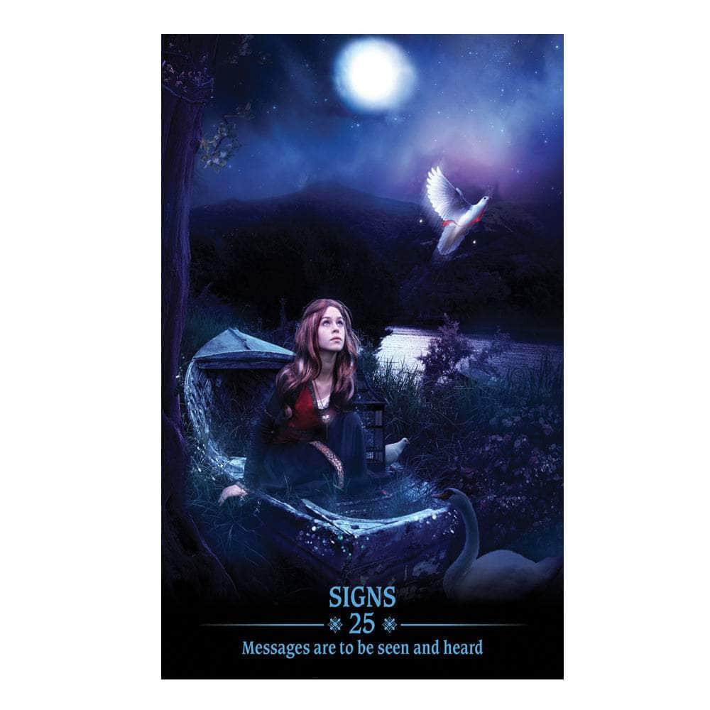 The Witches Sage LLC Tarot Cards Dark Light Oracle Deck Dark Light Oracle Deck